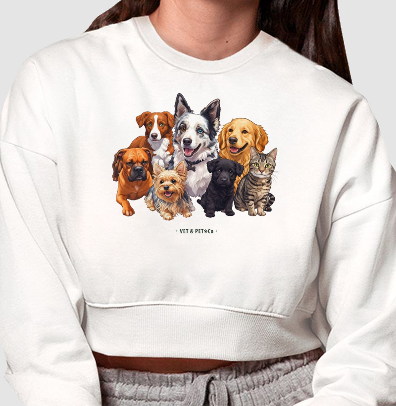Cachorros e gato