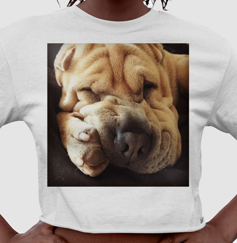 Sleeping Sharpei - Crooped