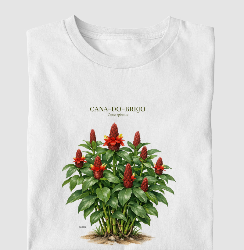 Cana-do-brejo
