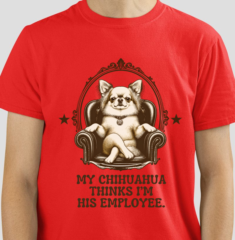 My chihuahua thinks im his employee