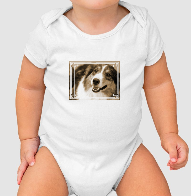 Ovelheiro Gaúcho - Sépia 4