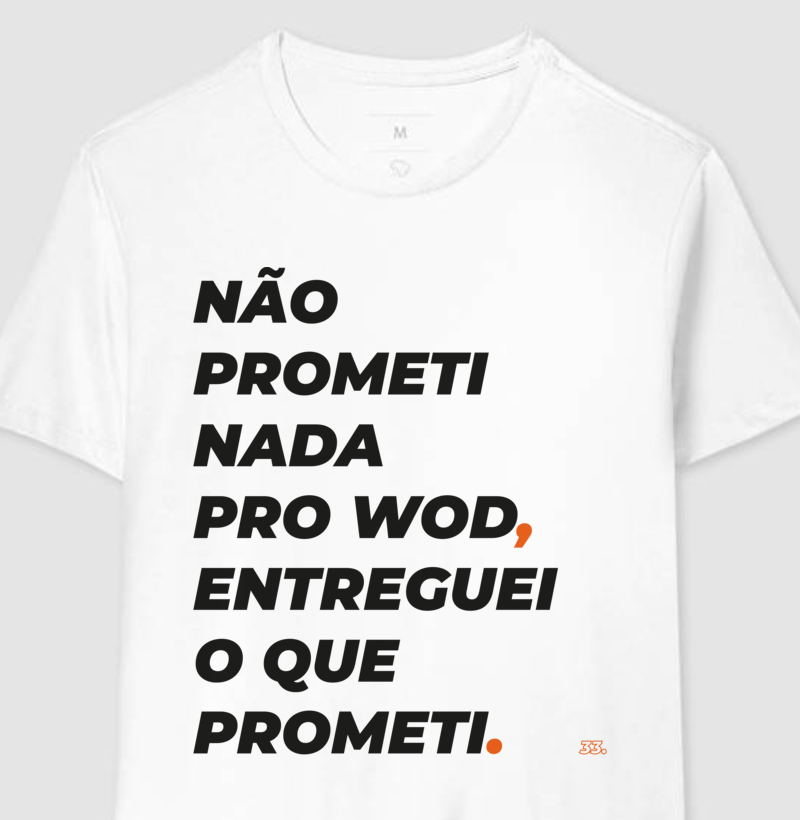 NÃO PROMETI NADA