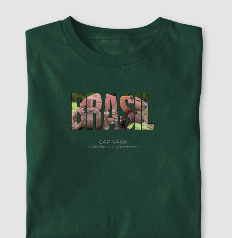 Animais do Brasil – Capivara