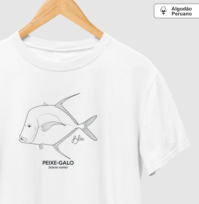 Peixe-Galo Minimalismo