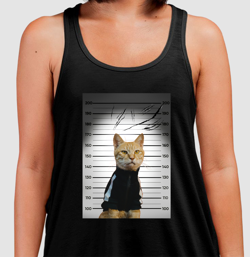 SUSPEITO DE ARRANHAR SOFÁ