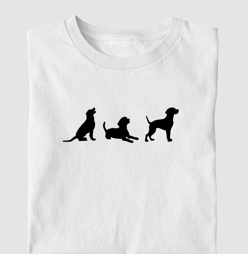 Comandos de obediência