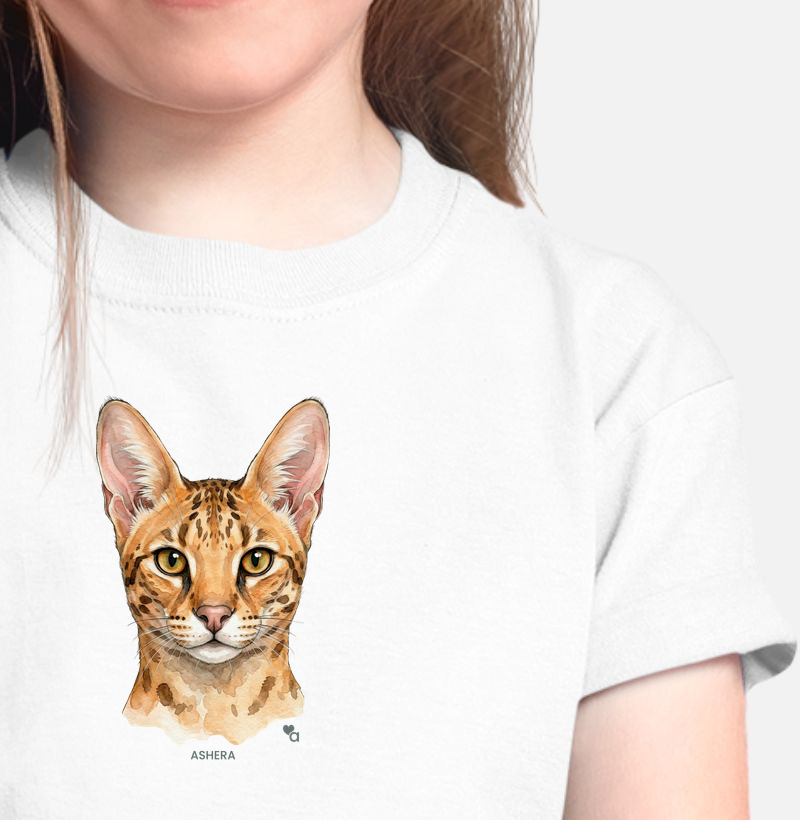Gatos - Ashera - Infantil
