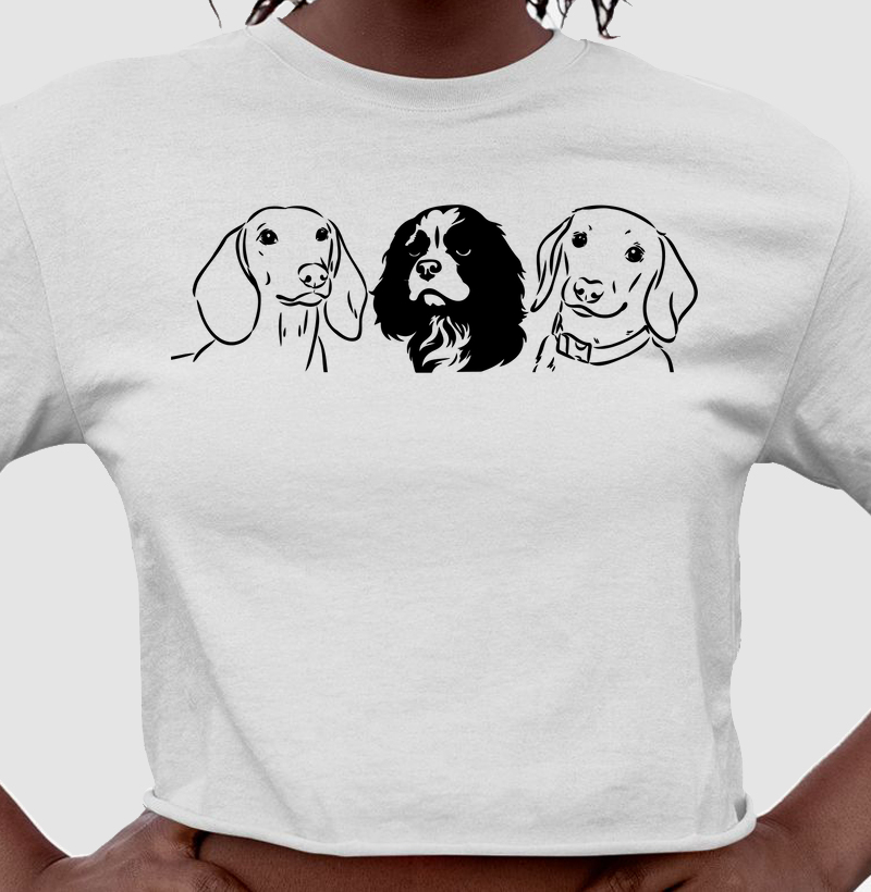 Dachshund e Cavalier