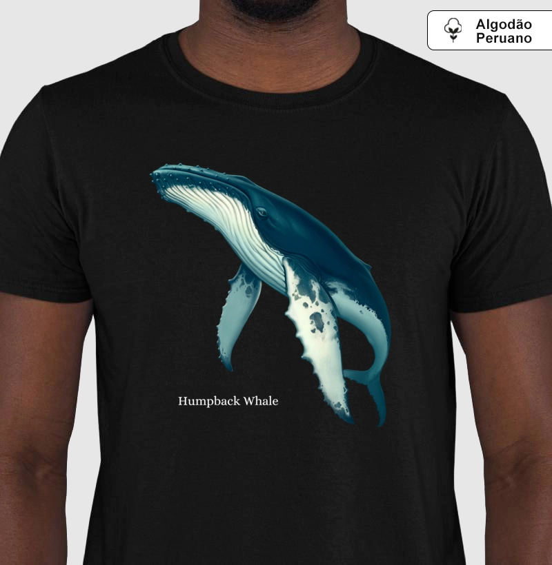Humpback Whale