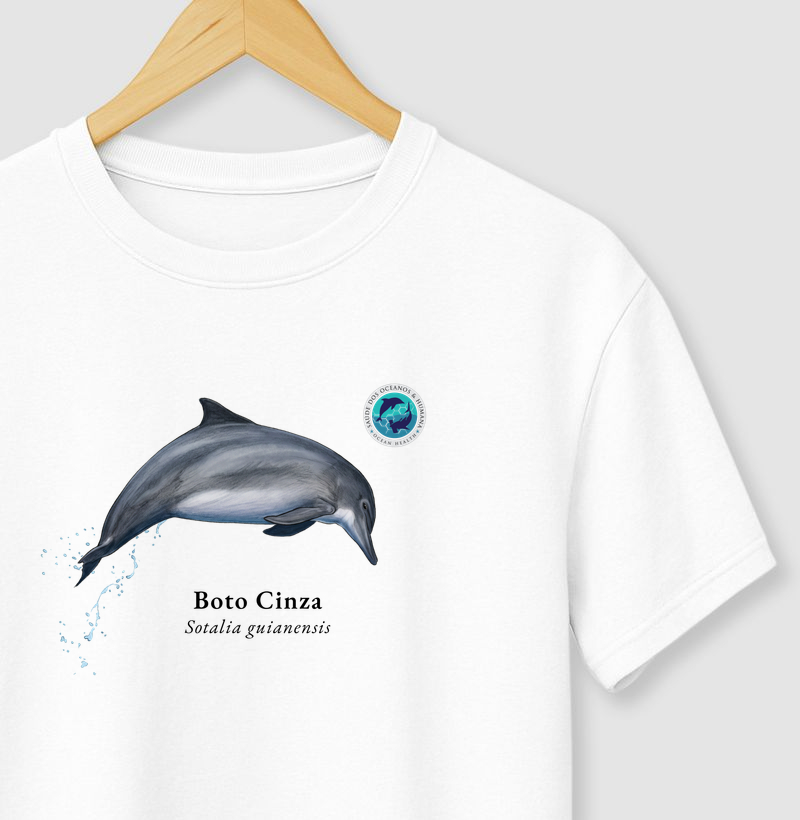 Boto Cinza