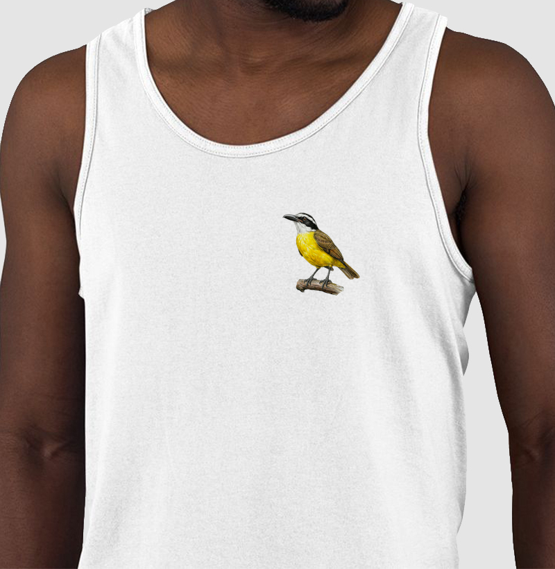 Mini Aves - Neinei - Regata