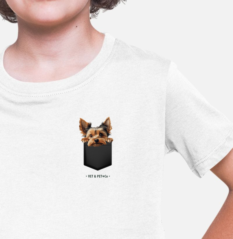 Cachorro de bolso (Yorkshire Terrier)