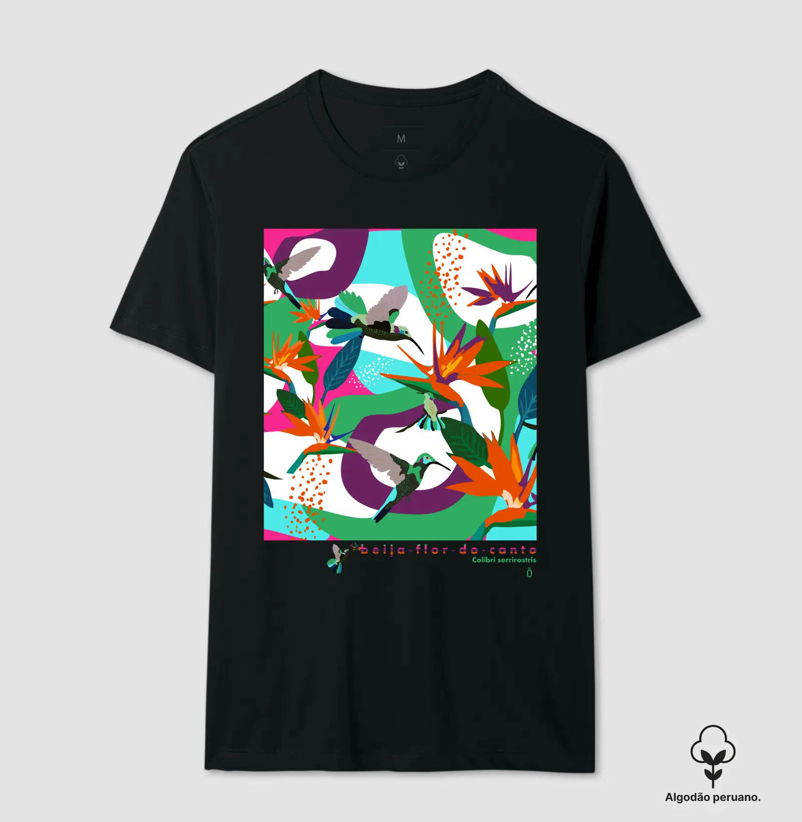 BEIJA-FLOR-DO-CANTO_3