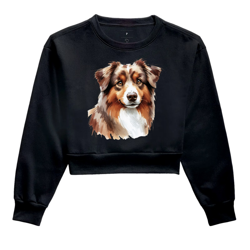 Australian Shepherd Red Merle 03