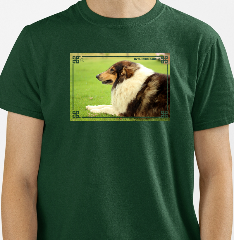 Ovelheiro Gaúcho - Color 2