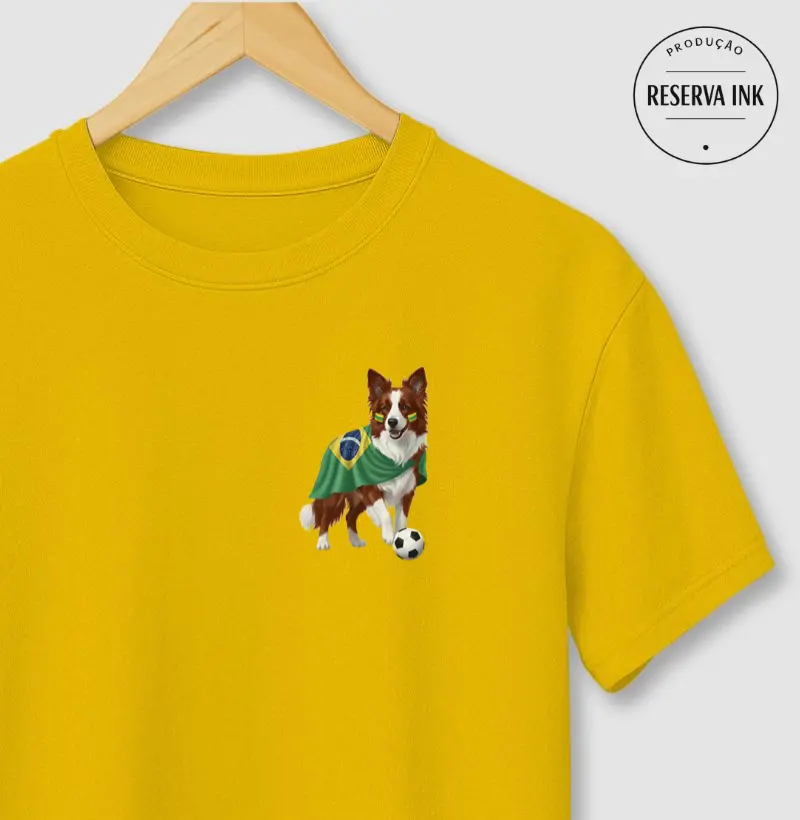Border Collie Claro - Seleção Canina