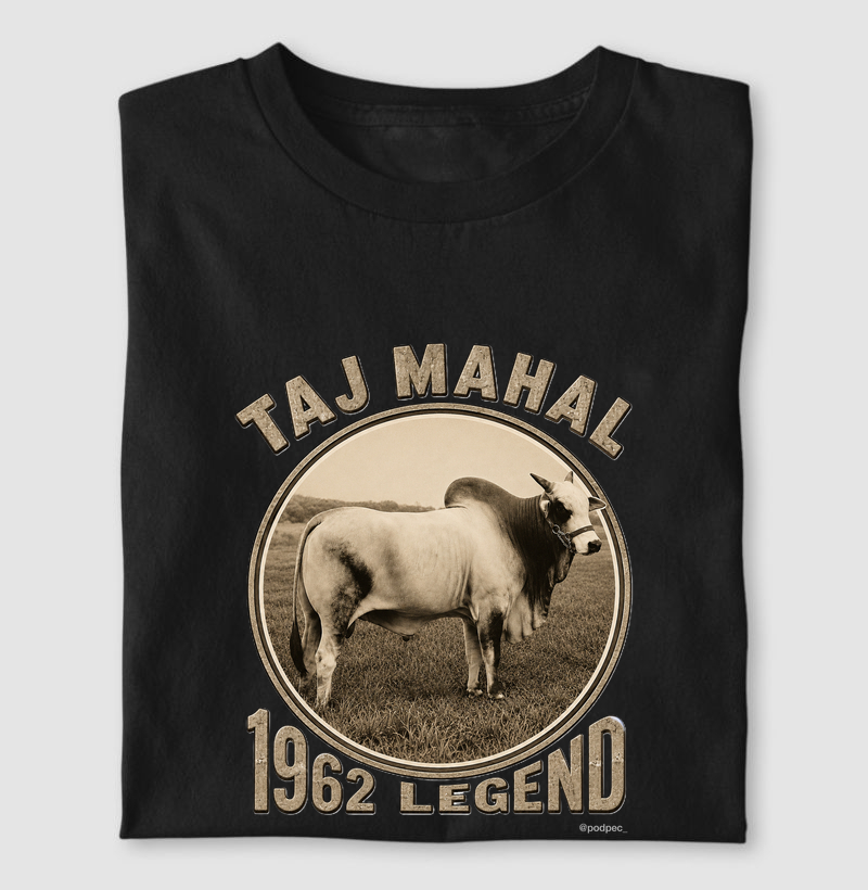 Taj Mahal - 1962 Legend