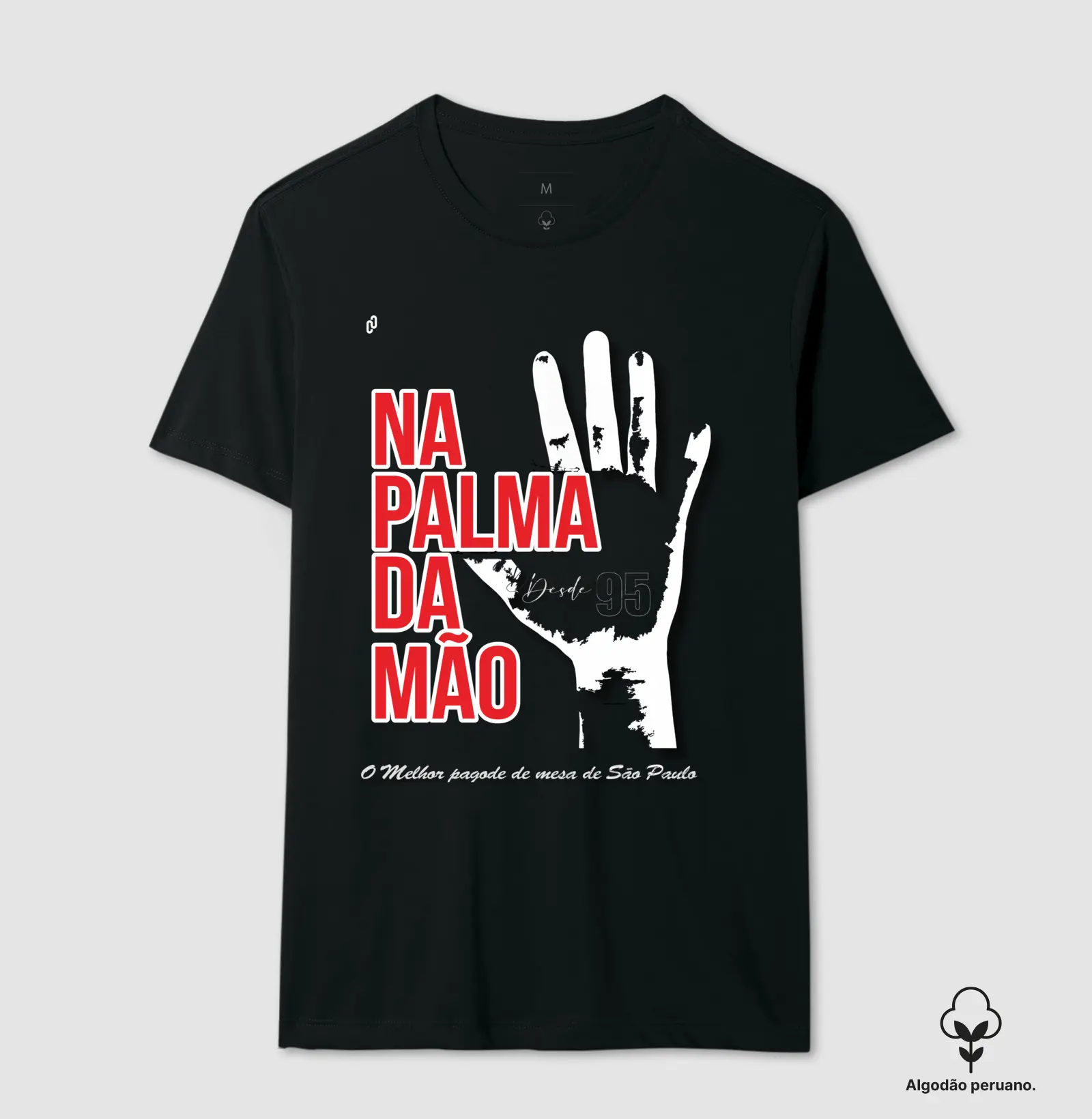 510 - NA PALMA DA MÃO