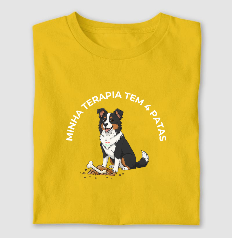 BOIADEIRO DE BERNA TERAPIA 