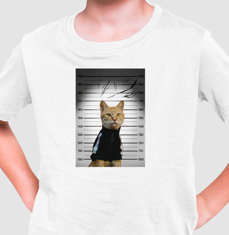 SUSPEITO DE ARRANHAR SOFÁ