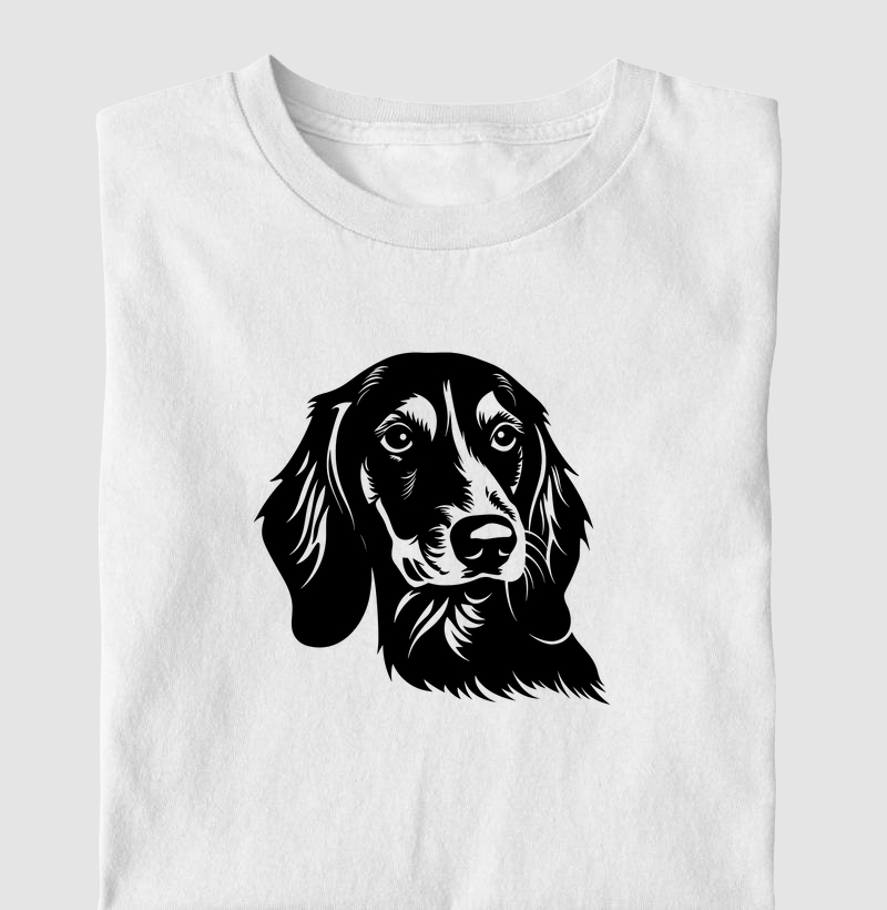 Dachshund Pelo Longo