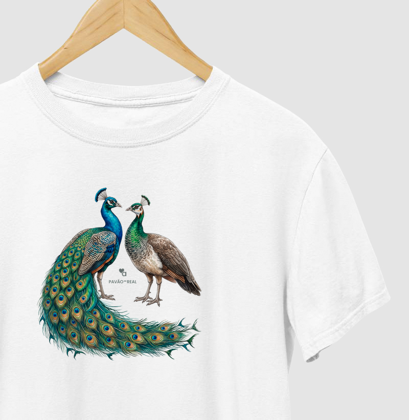 Aves - Pavão Real
