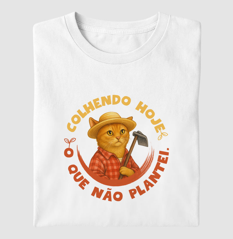 Colhendo hoje o que não plantei