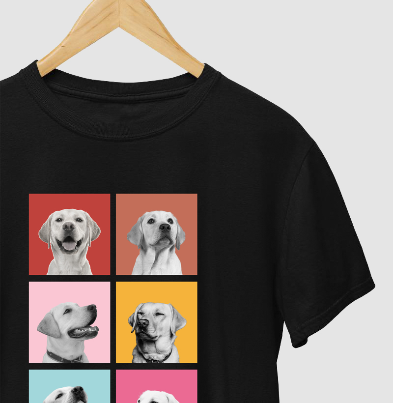 Faces Labrador