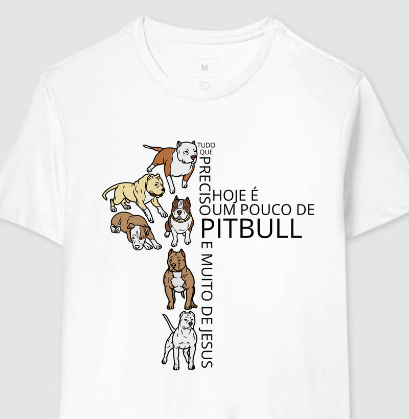 Tudo que eu preciso hoje é um pouco de Pit Bull e muito de Jesus