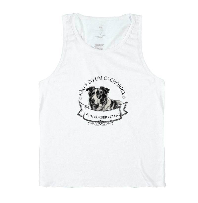 Não é só um cachorro. É um Border Collie.