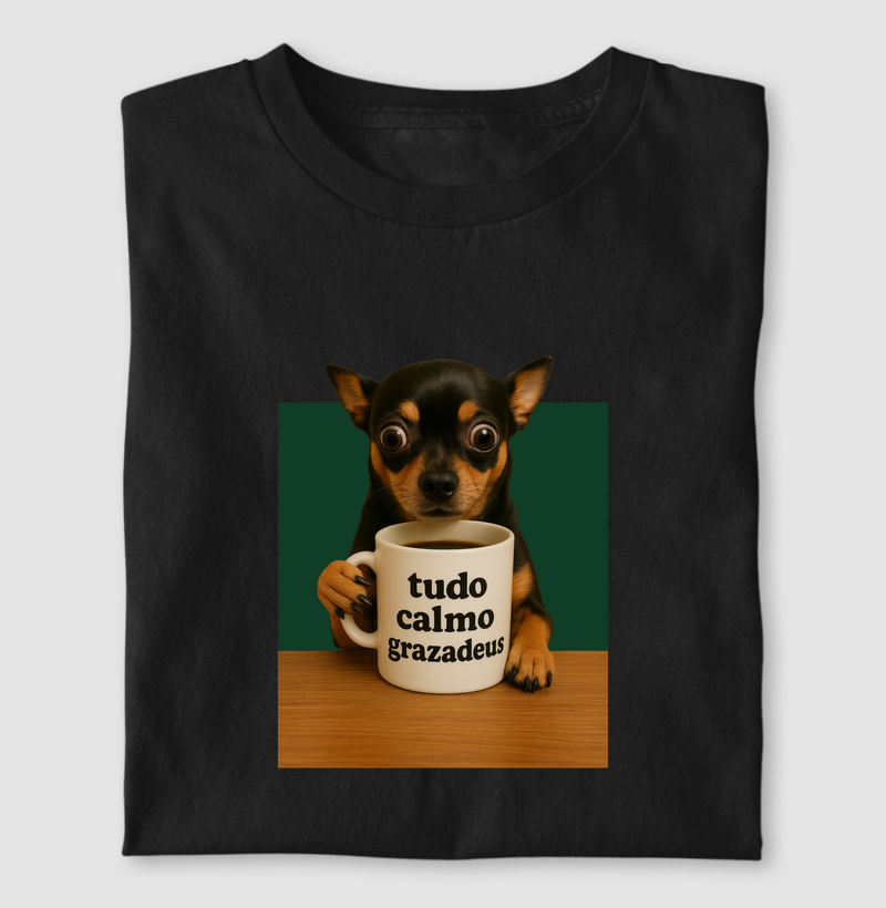 Tudo Calmo Grazadeus
