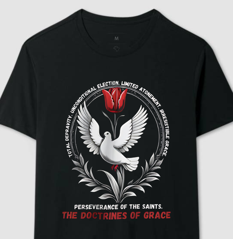 Perseverança dos Santos "Doutrinas da Graça"