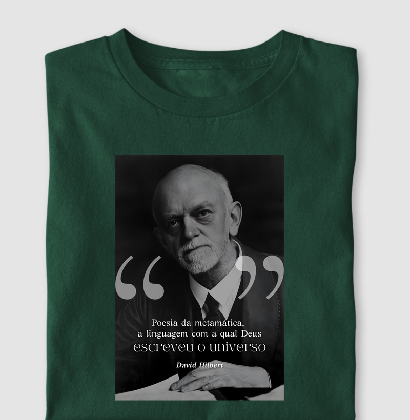 Hilbert: A Linguagem do Universo