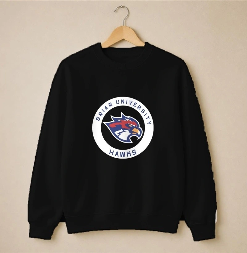 Briar U hawks - Suéter Moletom