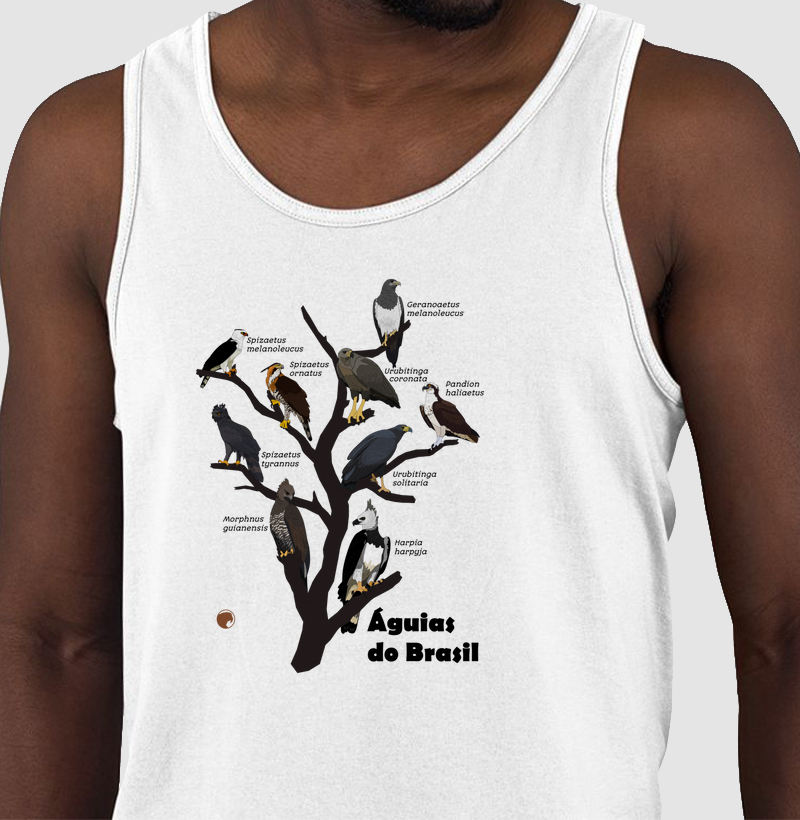 Águias do Brasil