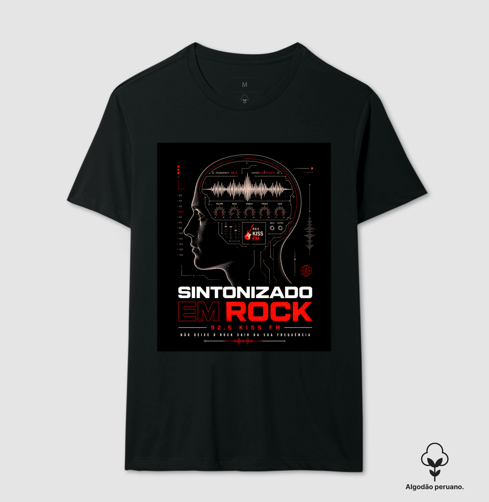 Sintonizado em Rock