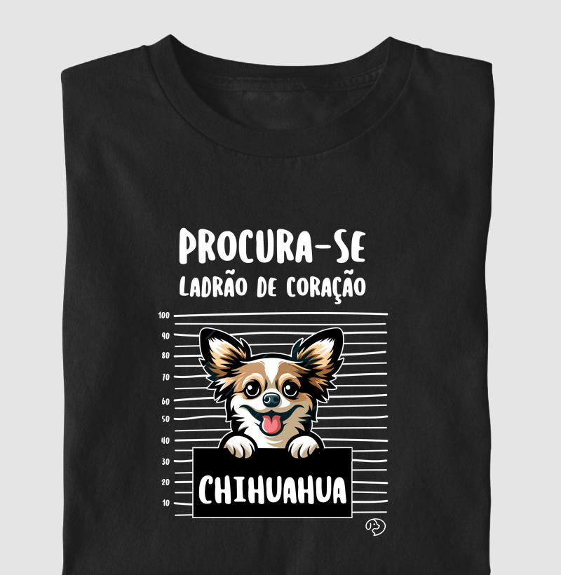 Chihuahua Ladrão de Coração