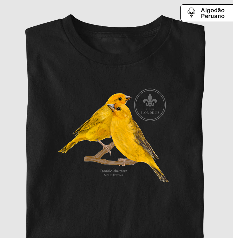 Aldeia Flor de Liz - Canário-da-terra