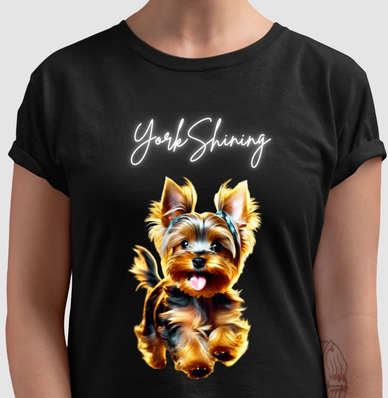 York Shining