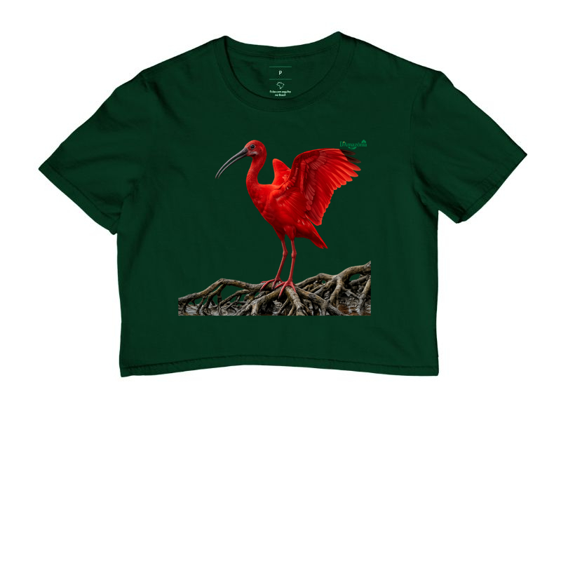 Guará-vermelho