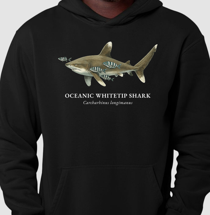 Oceanic Whitetip Shark