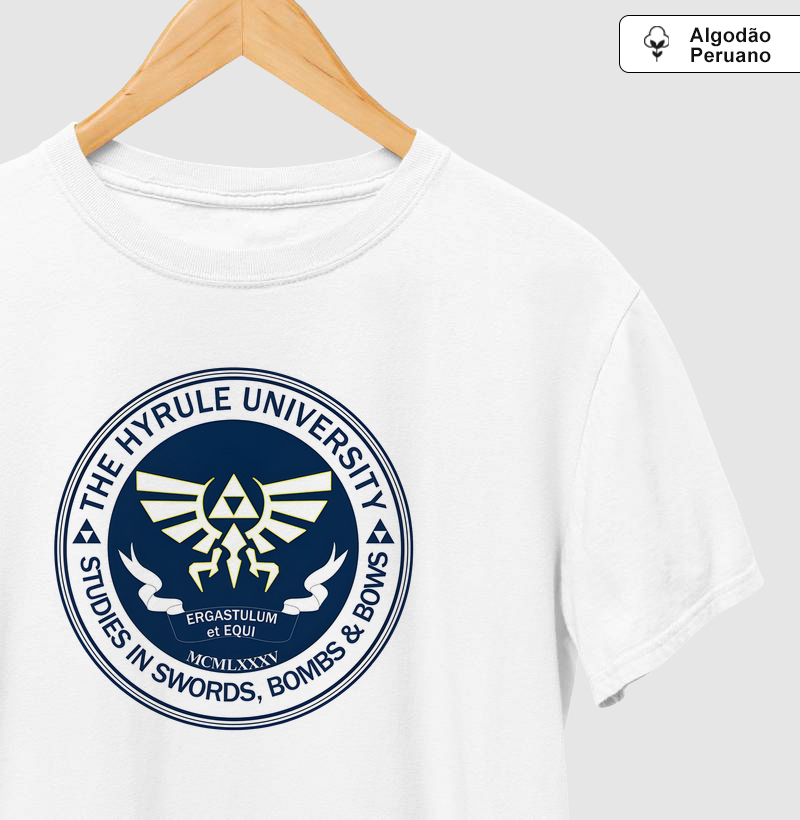 Hyrule University