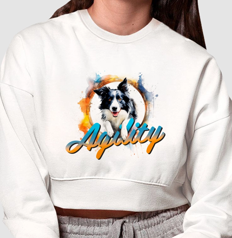 Border Collie Agility