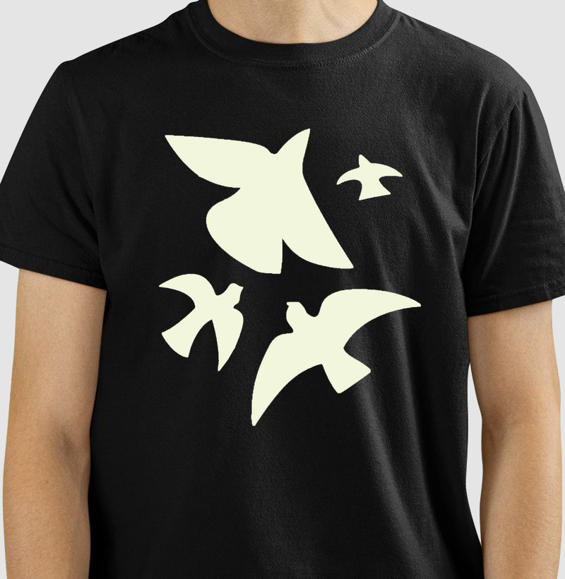 Henri Matisse Passaros 