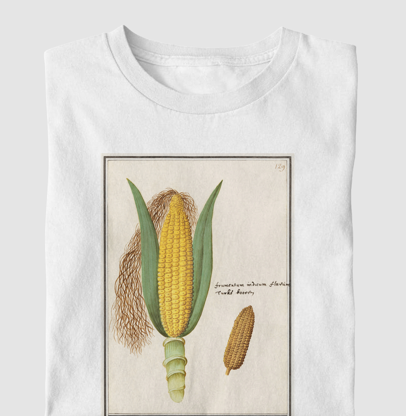 Corn