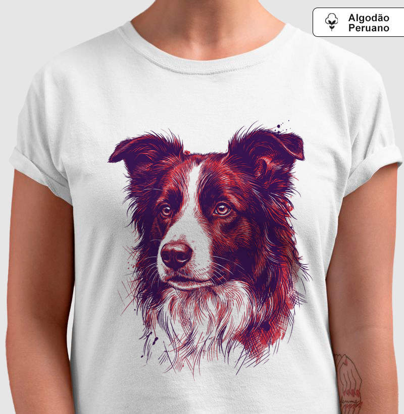 Terra Gaúcha - O Border Collie