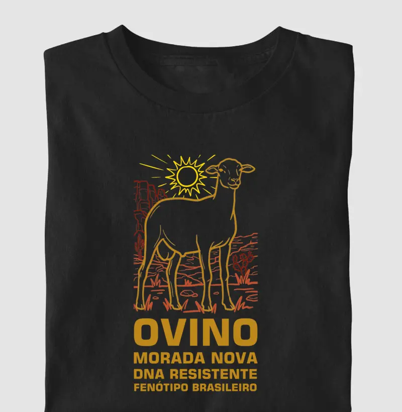 Ovino Morada Nova