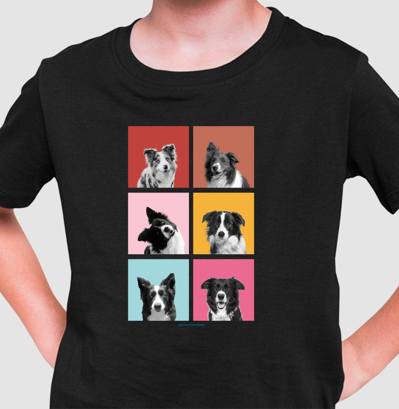 Faces Border Collie
