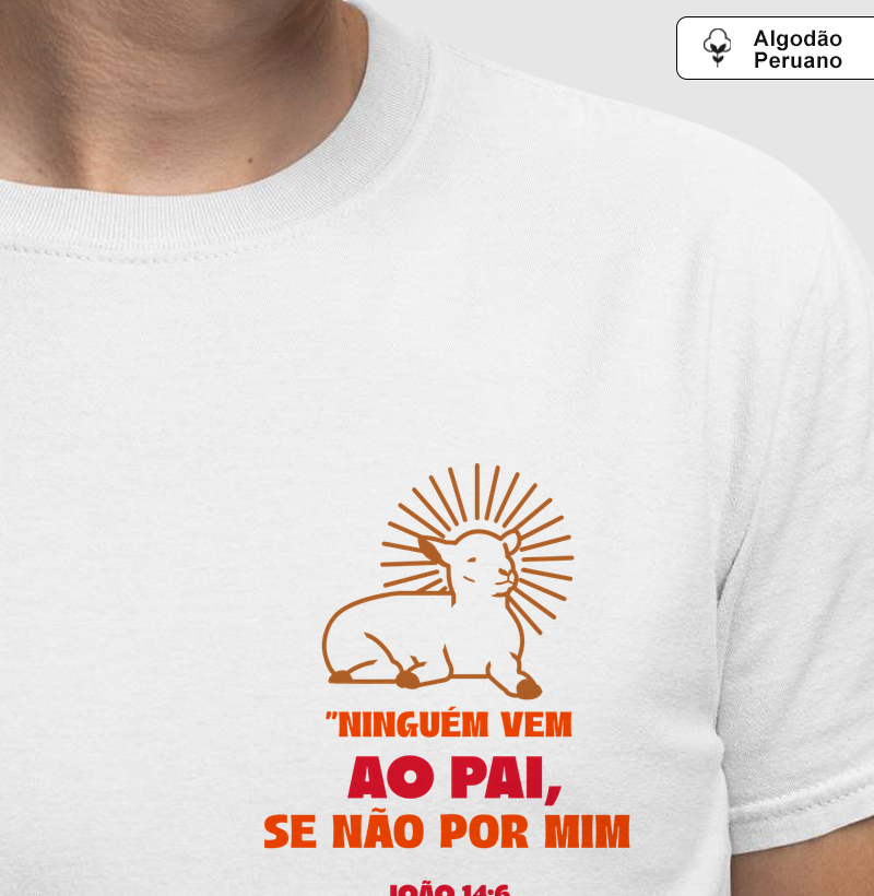 Ninguém vem ao Pai se não por mim