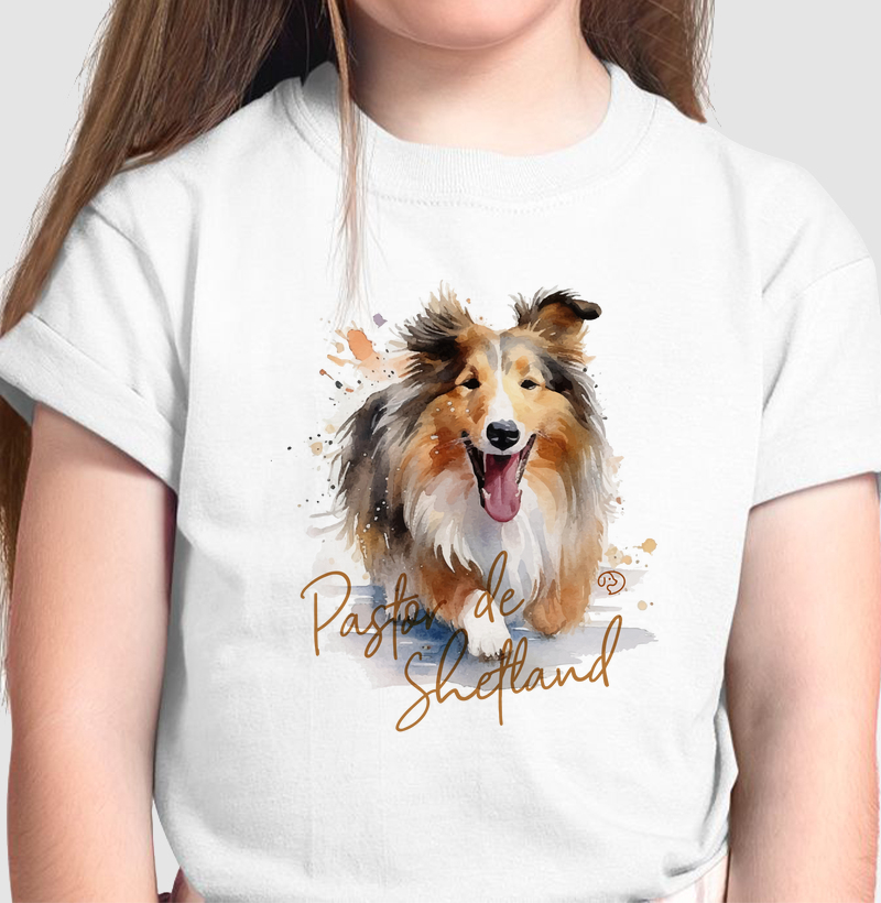 Pastor de Shetland Splash